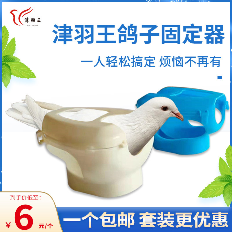 鸽具鸽子用品信鸽赛鸽束鸽器喂药注射器看鸽眼固定架固定器