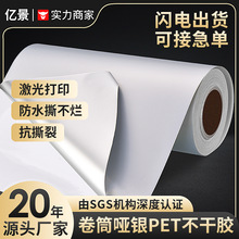 5C哑银不干胶卷筒PET格底带涂层可印刷防水不干胶标签贴纸材料