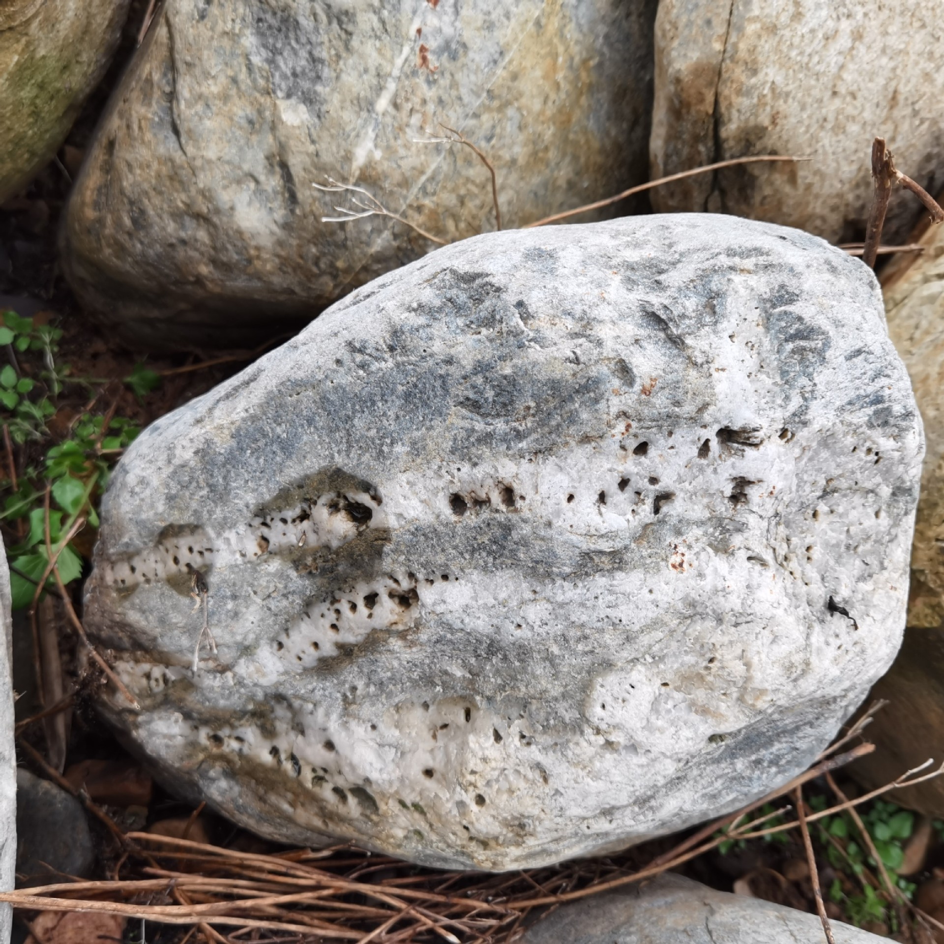 庭院组合置石-广东天然浅灰老山石现货-全国批发-可图片选货