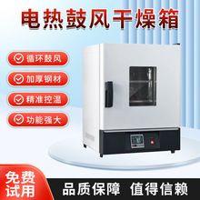 昇辉电热恒温鼓风干燥箱大灯实验室高温小型工业烘干机加热烤箱