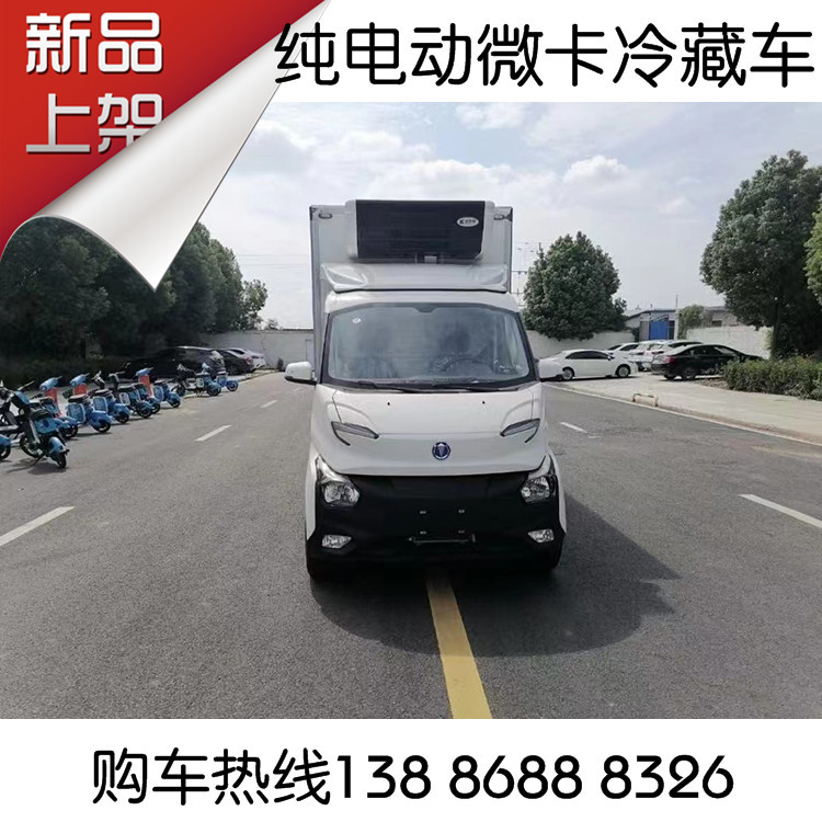 2米7纯电动冷冻厢式车 蓝牌c本开二人座电动货车 市区畅行带备电