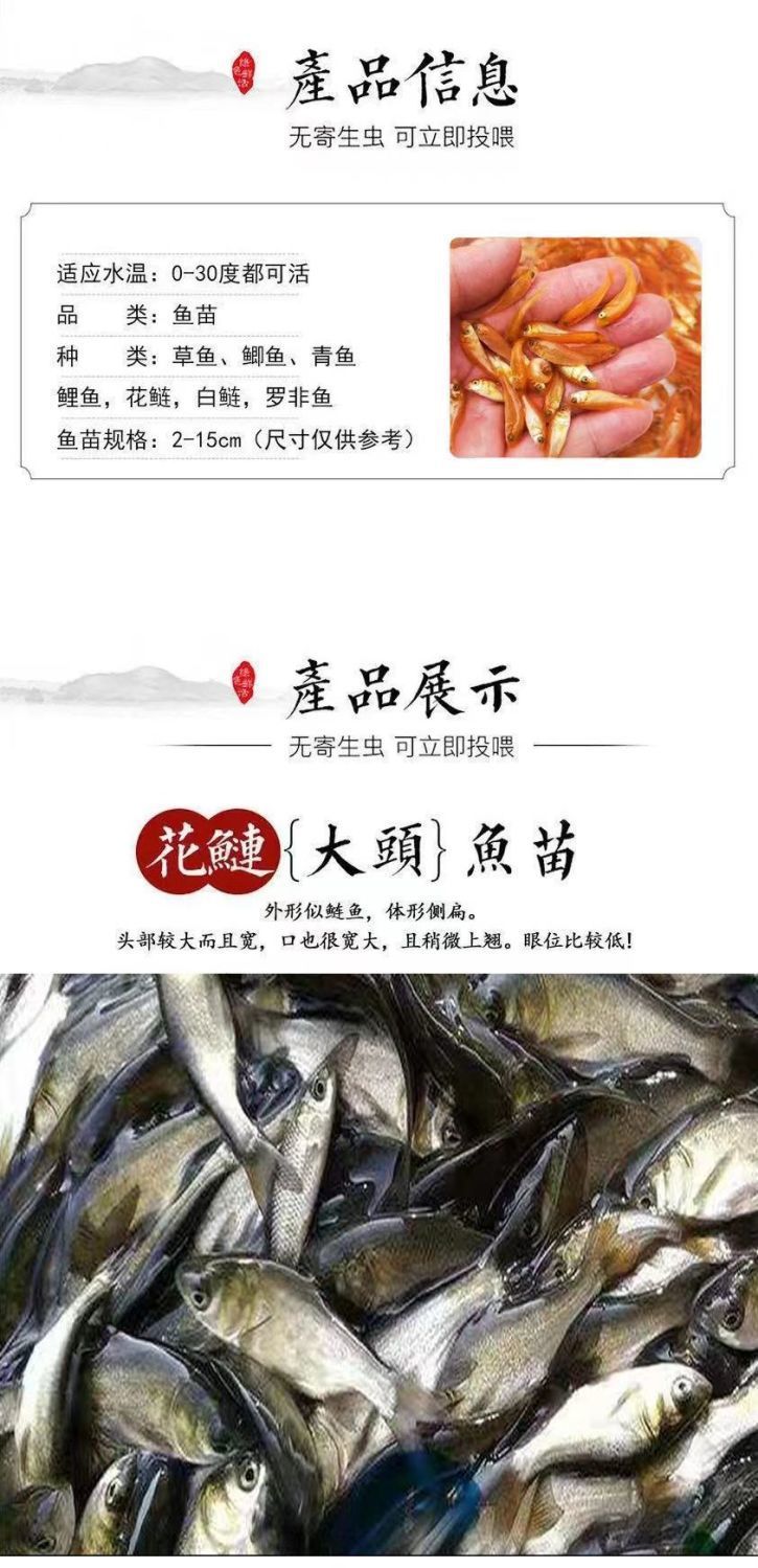 正宗中科五号鲫鱼工程鲫大草鱼鲤鱼红鲤鱼花鲢白鲢苗淡水养殖包活
