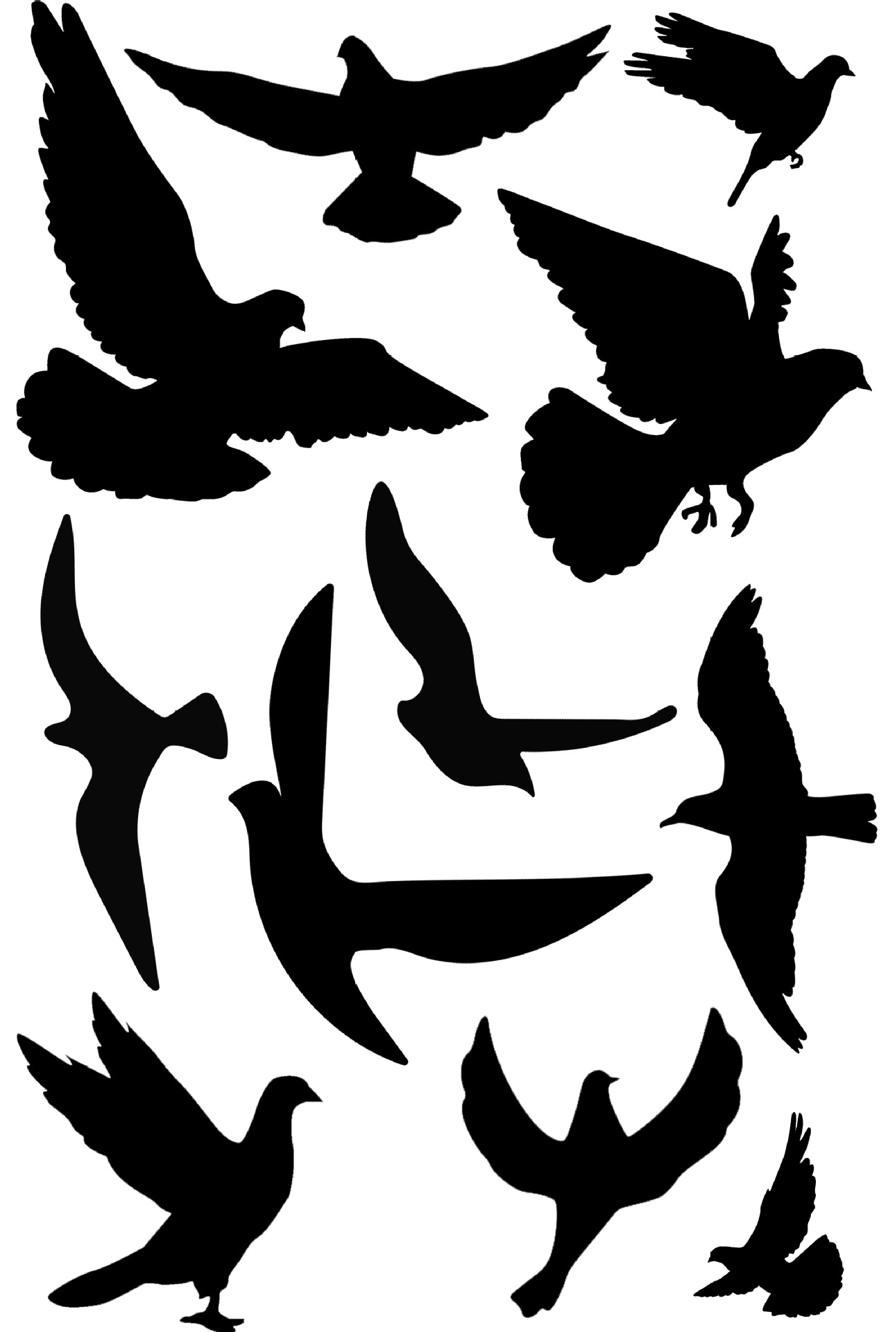 2021新款黑色鸟类防撞贴纸跨境亚马逊鸟儿墙贴橱窗玻璃装饰警示贴