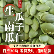 生南瓜子仁代发批发500g 新疆南瓜子大片烘焙原料炒货原料南瓜仁