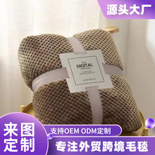 加厚贝贝绒法兰绒小毛毯菠萝格珊瑚绒毯午睡毯礼品毯定制blanket