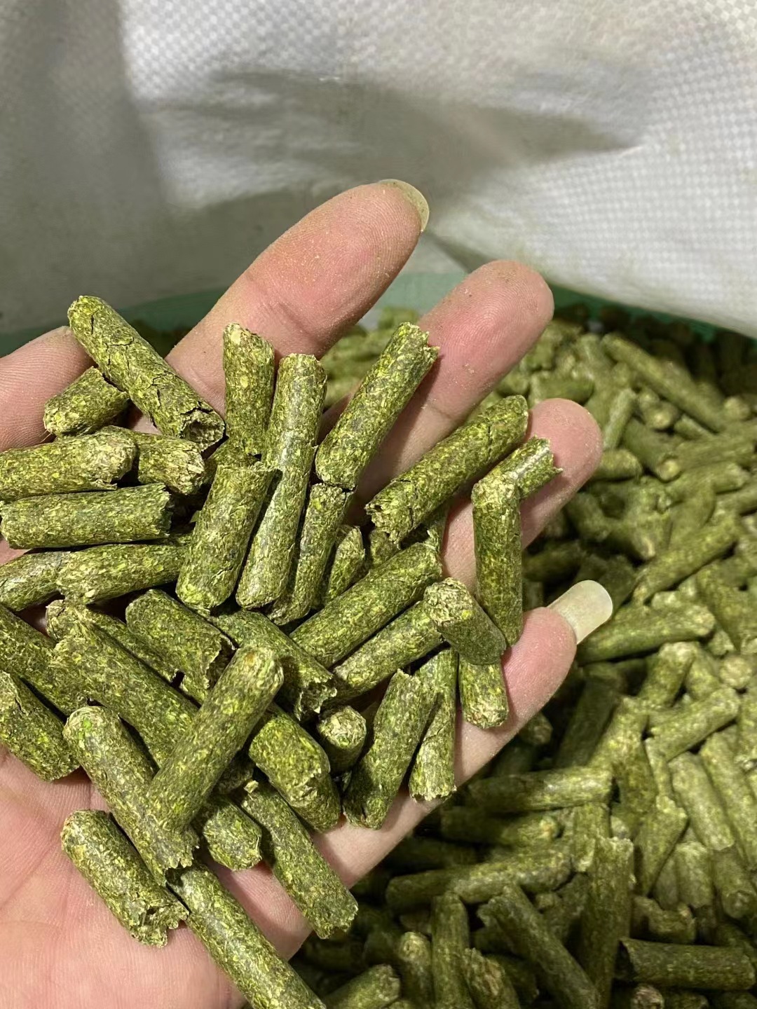 草颗粒苜蓿草颗粒饲料畜禽用牛羊马紫花苜蓿山羊骆驼反刍动物饲料