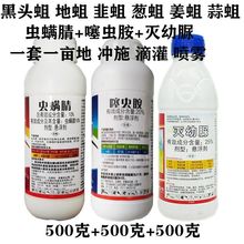 黑头蛆专用药灭蝇.噻虫胺 虫螨腈杀虫剂地蛆黑头蛆韭蛆蒜蛆葱姜蛆