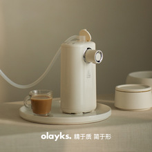 olayks立时即热式饮水机桌面台式小型迷你便携式矿泉水加热器