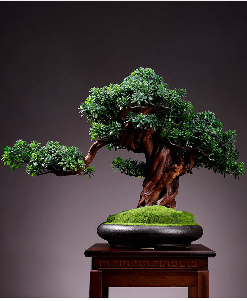 客厅植物盆景室内迎客松绿植盆栽大型假树桌面微景观装饰摆件