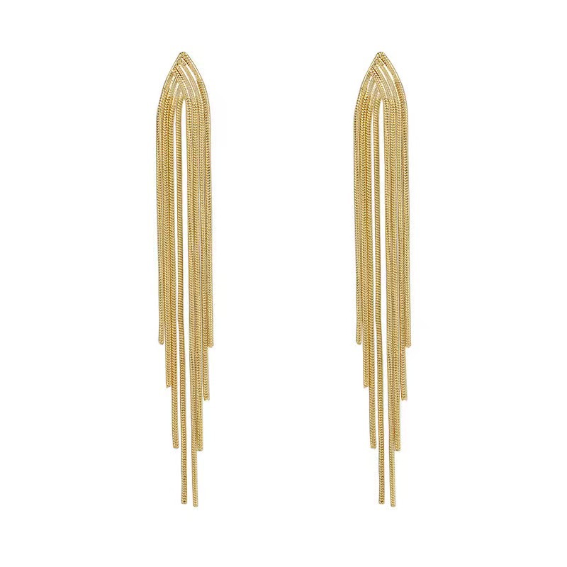 Long Fringe Earrings Earrings for Women 2024 New Elegant High Sense Super Fairy Tassel Earrings Online Influencer Earrings