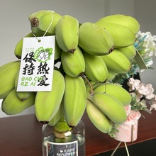 【拒绝蕉绿】整串带杆香蕉芭蕉花办公室水培小米香蕉绿植新鲜水果