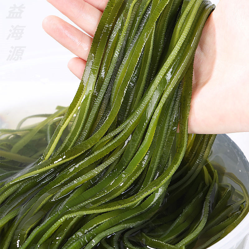 批发海带丝整箱5斤海带批发海带丝厚火锅食材凉拌菜非海鲜干货