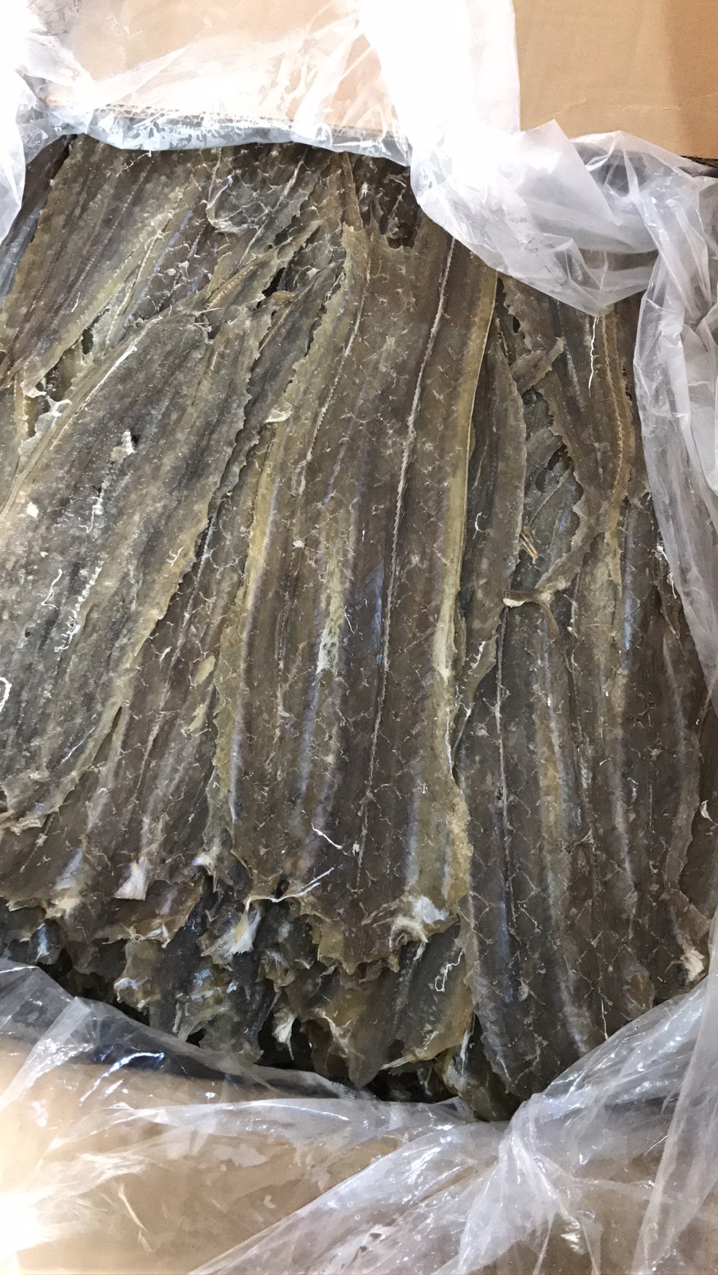 北海特产烧烤鳗鱼干手撕鳗鱼干芥末马步鱼干鳗鱼片500克海鲜批发