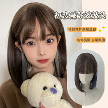 间谍过家家cos假发女阿尼亚二次元仿真短发波波头空气刘海全头套