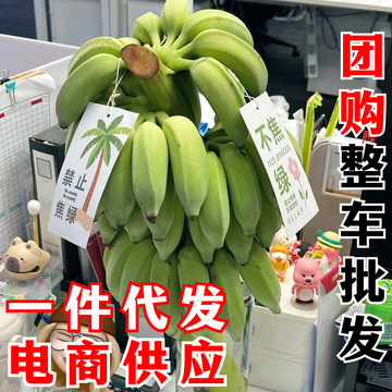 小米蕉新鲜水果 一件代发 禁止蕉绿整串香蕉绿色拒绝焦虑成串带杆