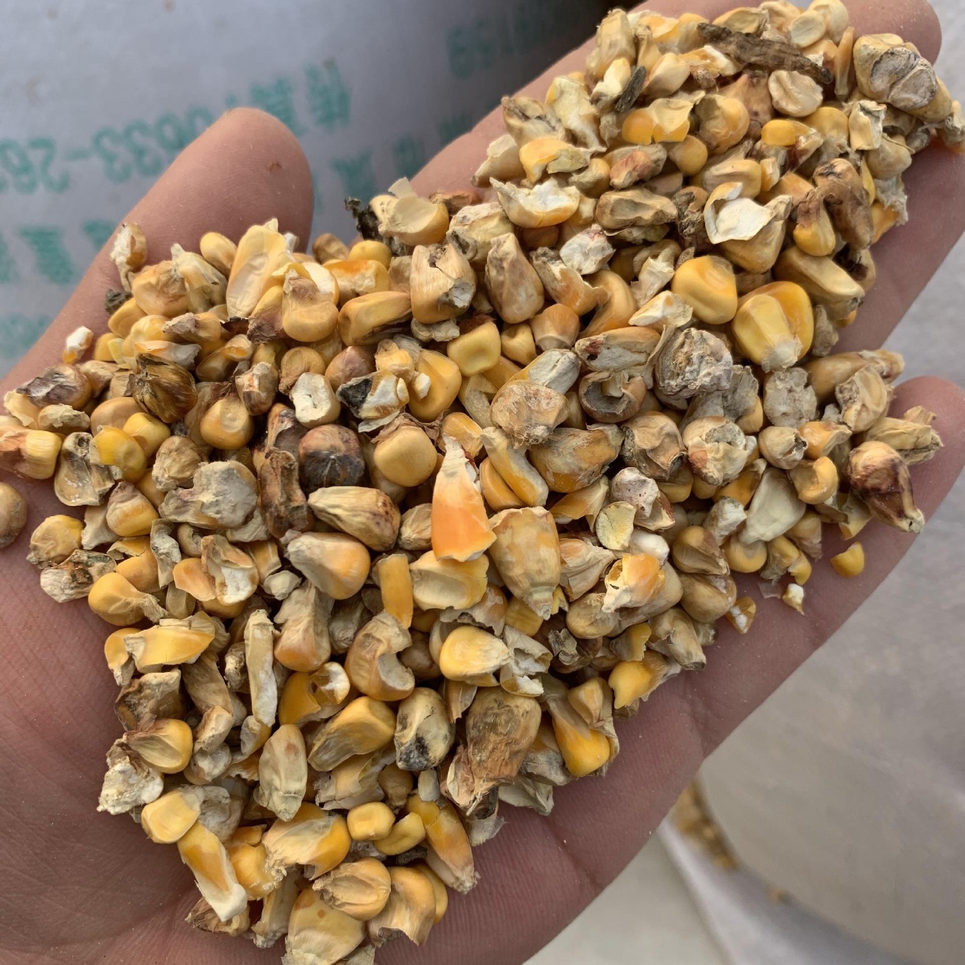 9个毛粮碎玉米碎小麦下脚料养殖饲料 现货植物性饲料厂家送货上门