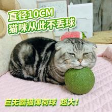 超大号猫薄荷球猫玩具巨型虫瘿果玩具球自嗨解闷猫咪用品大全