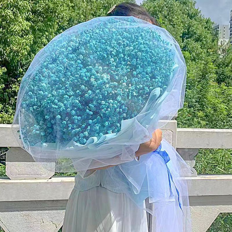 满天星花束送女朋友生日超大束满天星真花生日永生花干花-阿里巴巴