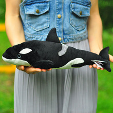 国家地理儿童节日礼物玩具PP棉仿真毛绒公仔17in虎鲸海洋动物玩偶