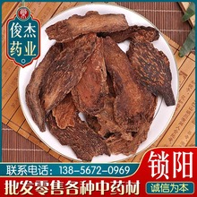 中药材批发锁阳片 锁阳泡酒料各种规格量大从优锁阳