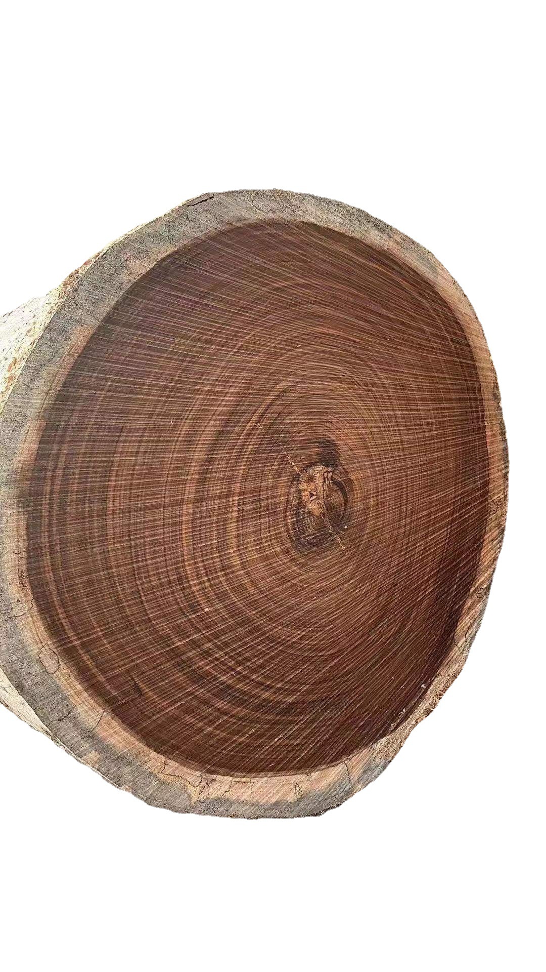 乌金木 赛鞋木豆 用于高级家具,地板 造船 雕刻工艺,高级乐器等