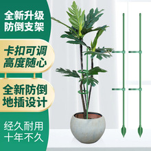 园艺支撑杆花架固定器蝴蝶兰花支架固定花防倒花杆爬藤金钱树