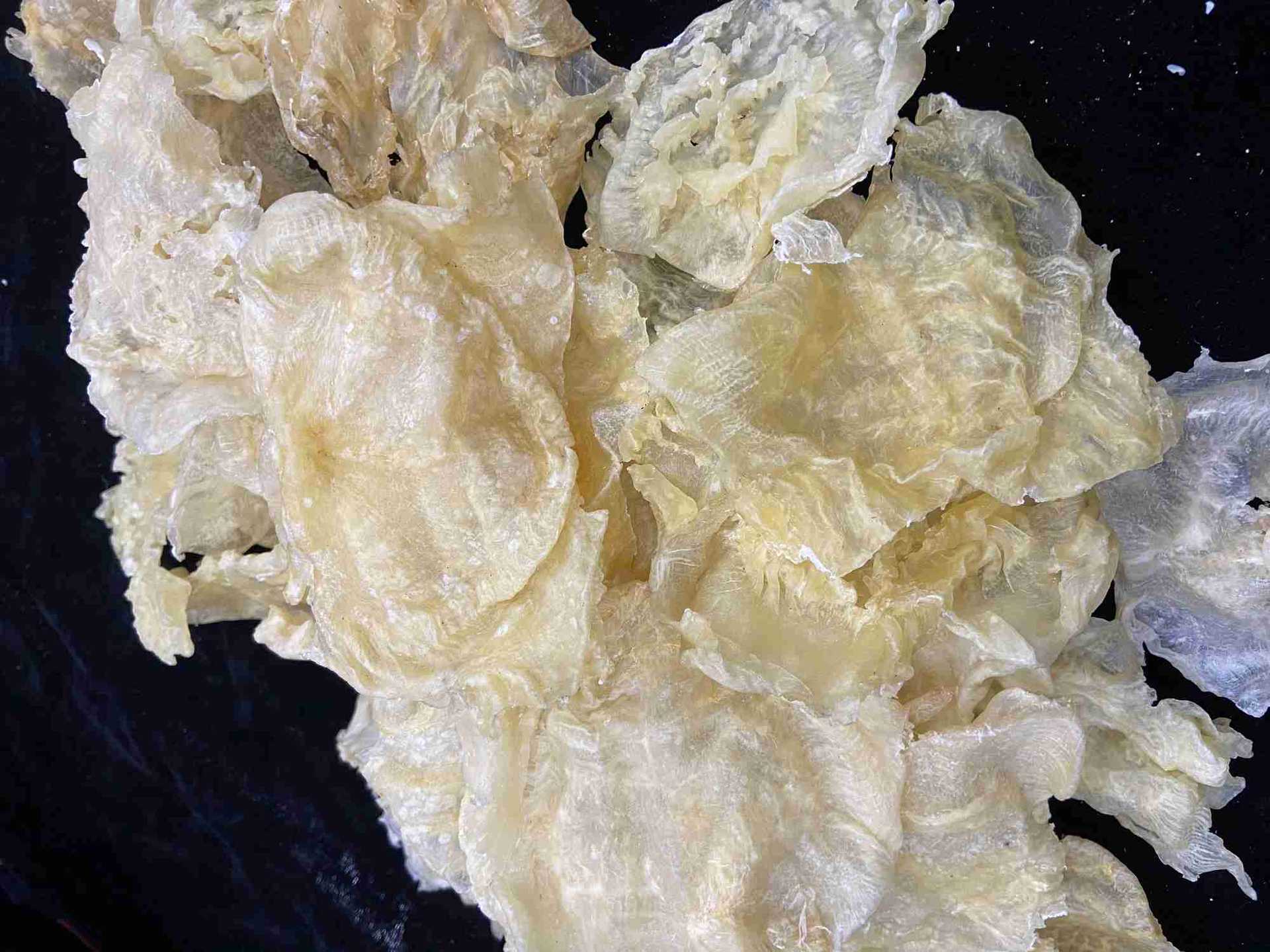 大规格荷包肚干鱼肚水发油发鱼肚