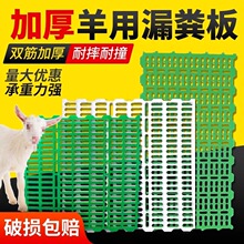 塑料羊床漏粪板养猪塑料漏粪板养殖养殖厂保育床复合羊舍漏粪网