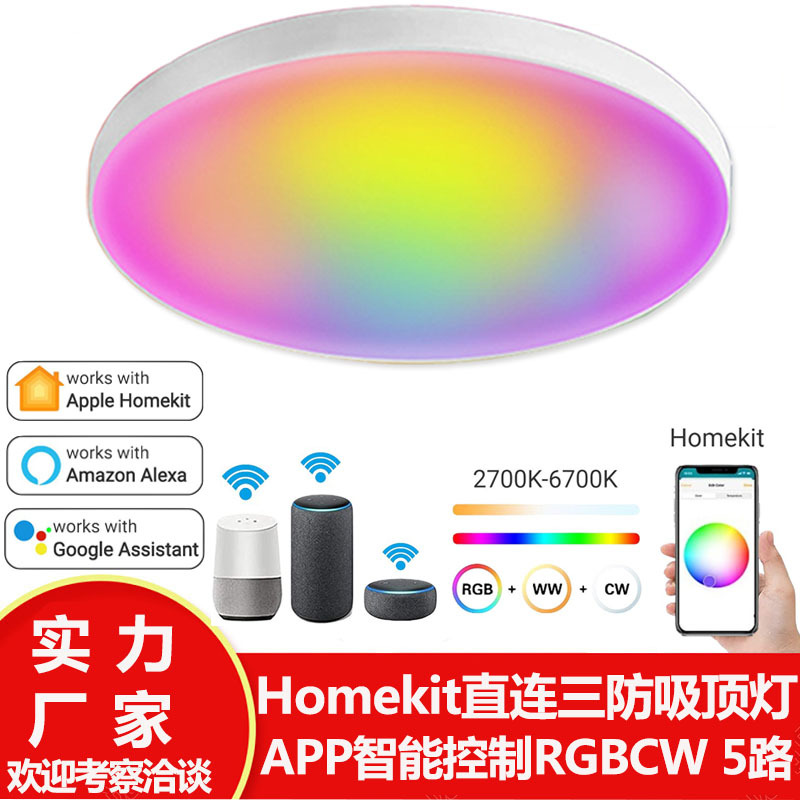 homekit智能吸顶灯wifi蓝牙alexa语音APP远程控制调光调色面板灯