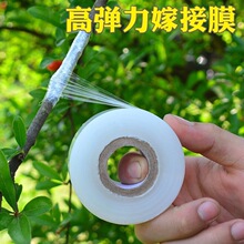 嫁接膜专用膜PE无需打结薄膜 嫁接绑带果树苗木包扎带 自粘膜包邮