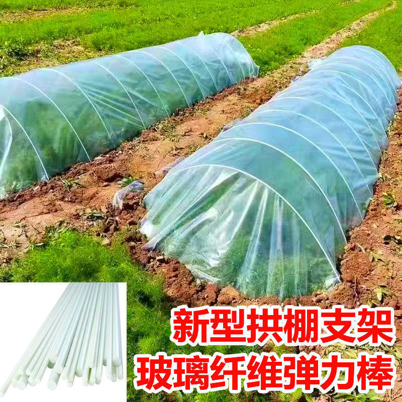 蔬菜拱棚支架大鹏杆子小棚地膜支架温室大棚架子蔬菜棚种菜弓子杆