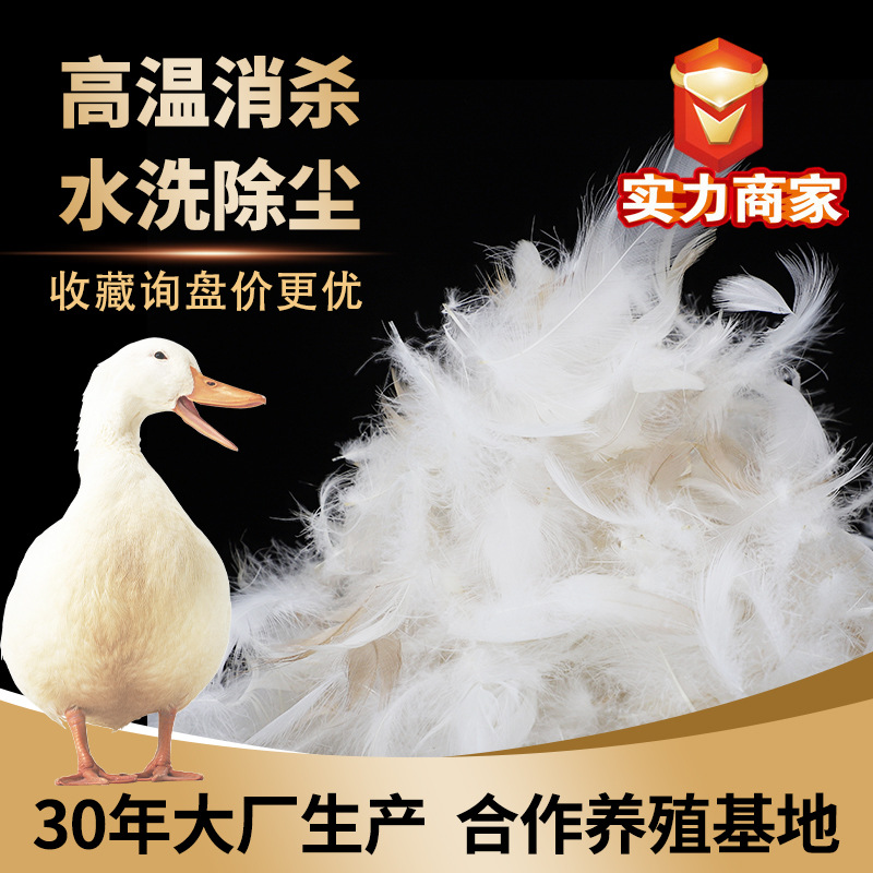 水洗6-8cm超长白鸭毛片普白清洁无异味沙发 枕芯坐垫填充羽毛批发