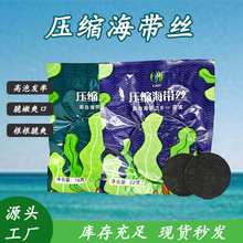 压缩海带丝凉拌菜压缩免洗圆饼干货海带麻辣烫水产即食厂家批发