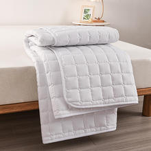 床垫软垫民宿家用磨毛保护垫隔脏防滑床罩酒店薄款榻榻米床垫褥子