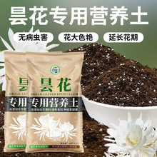 昙花土营养土昙花肥料花土壤橡皮树土养花种植土泥土