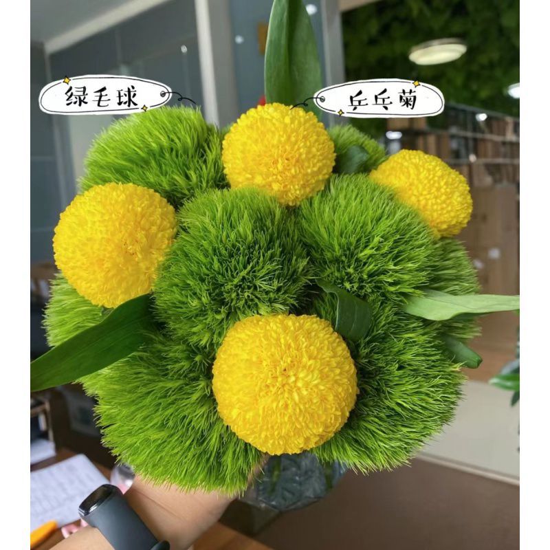 绿毛球云南基地直发洋桔梗混搭花束乒乓球绿色系鲜花