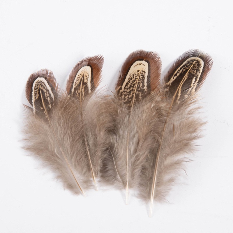 Factory Direct Supply Natural Pheasant Feather Dachang Feather DIY Raw Material Ornaments Accessories Crafts Feather Pheasant Feather