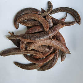 中药材 小皂角大皂角猪牙皂皂荚 牙皂皂荚猪牙皂角