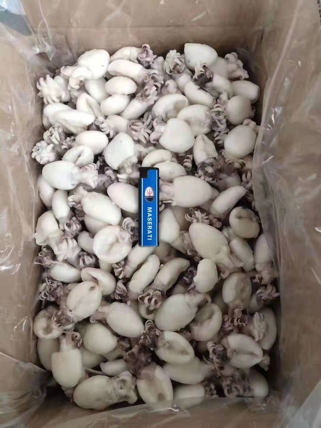 冻货海鲜冷冻品批发墨鱼仔9斤