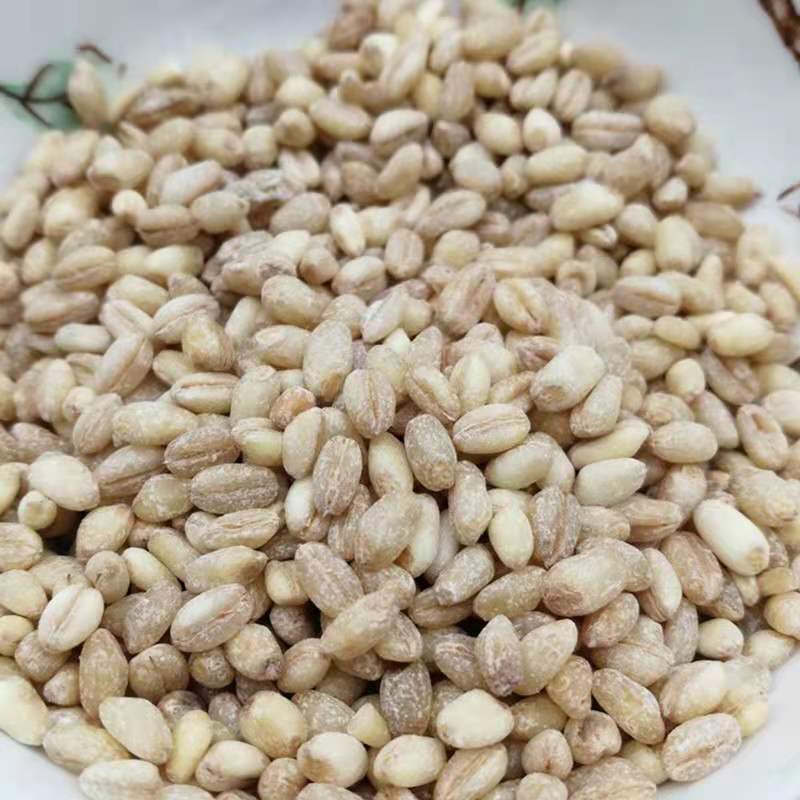 去皮麦仁500g新货农家自产脱皮新鲜麦子米粗粮粥五谷杂粮一件代发