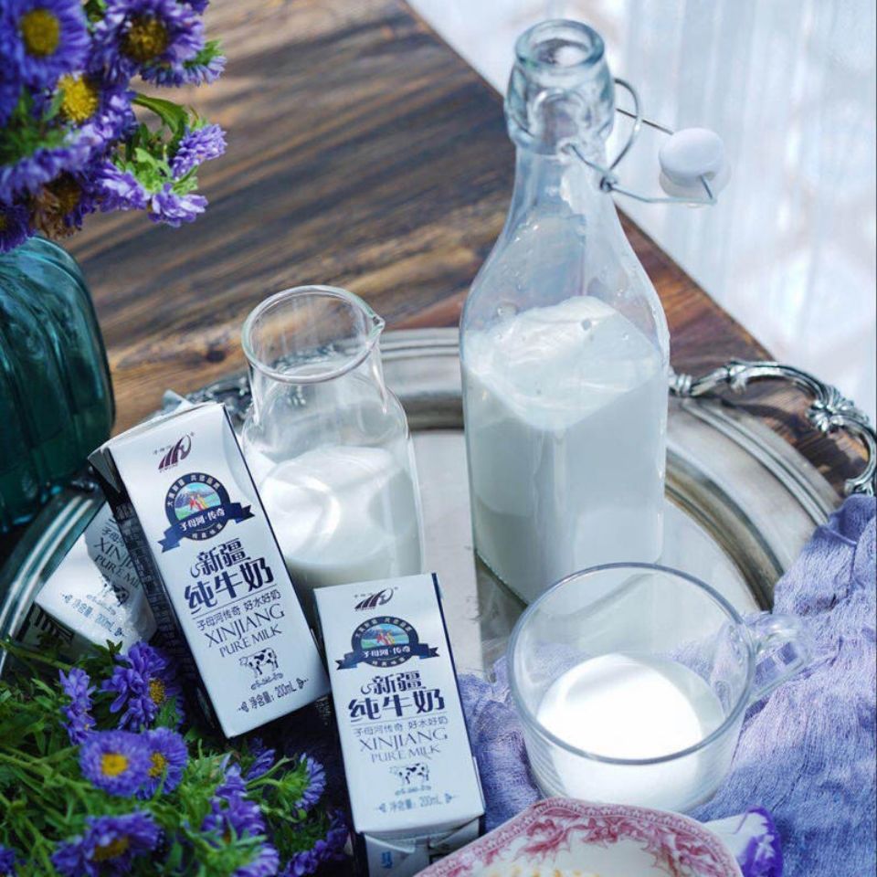 10月产新疆子母河纯牛奶儿童学生青少年中老年加钙营养健康纯牛奶