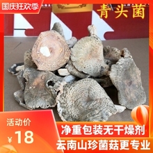 青头菌干货 云南山珍宁蒗野生菌的好货青头菌100克食用农产品