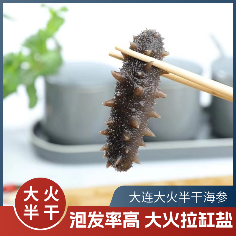 大连底播大火半干海参深海底播肉质紧实5倍泡发拉缸盐海参非即食