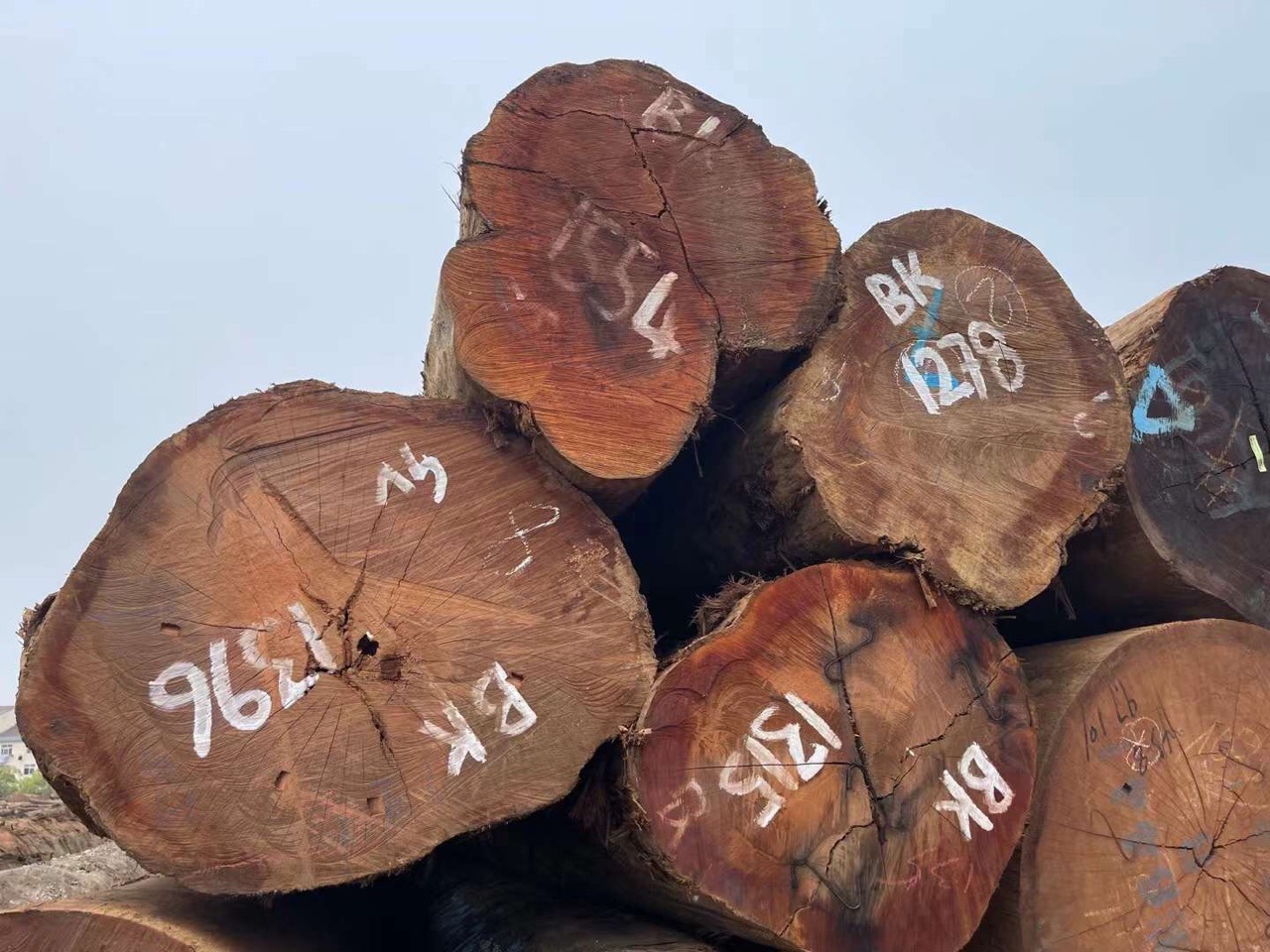 eug水胶木材所罗门水胶木柱子木料 水胶原木木材 水胶木板材