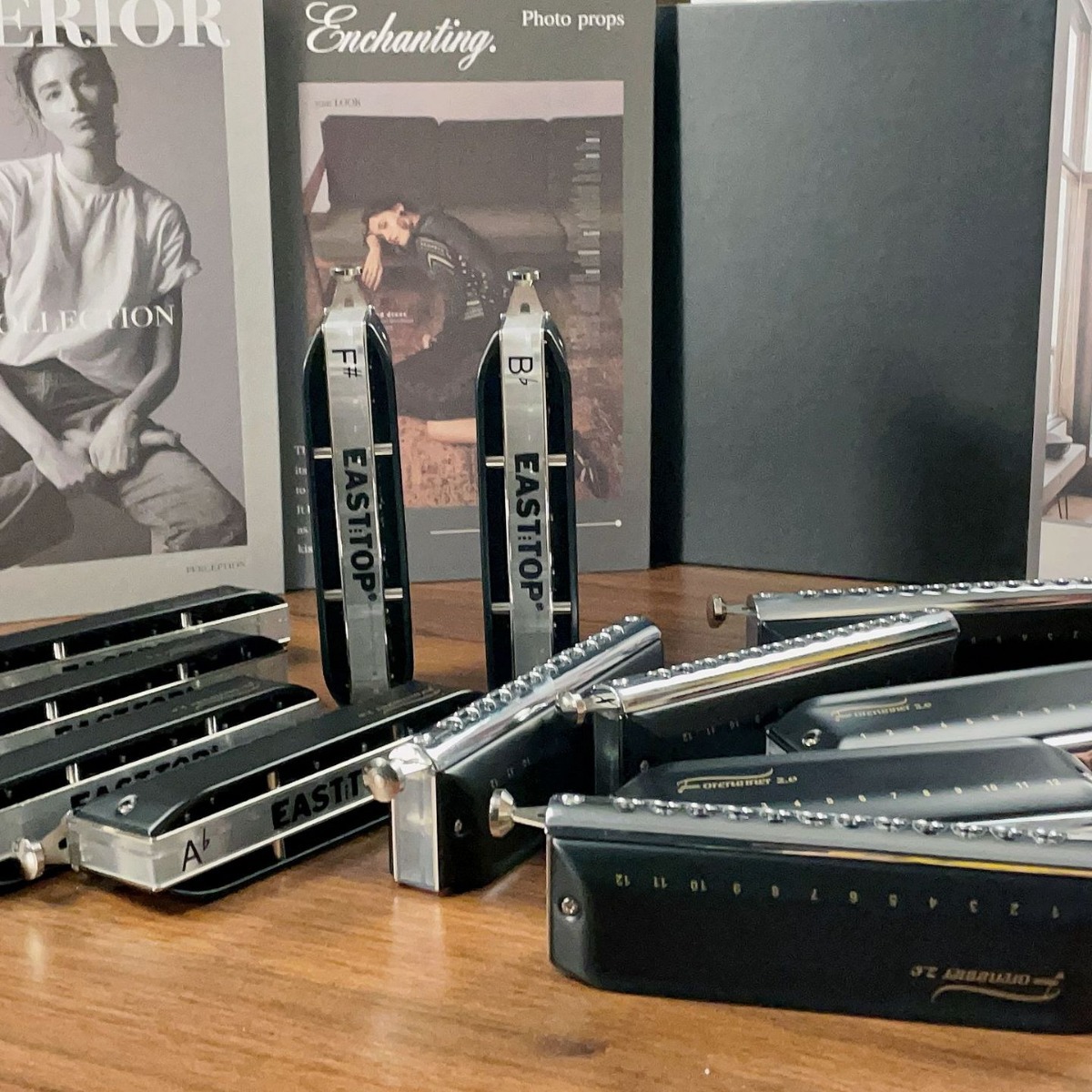 easttop12孔布鲁斯专业演奏口琴东方鼎半音阶c调初学者专业演奏