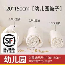 幼儿园a类大豆被儿童被被羽丝被120*150cm子母被芯春秋款四季