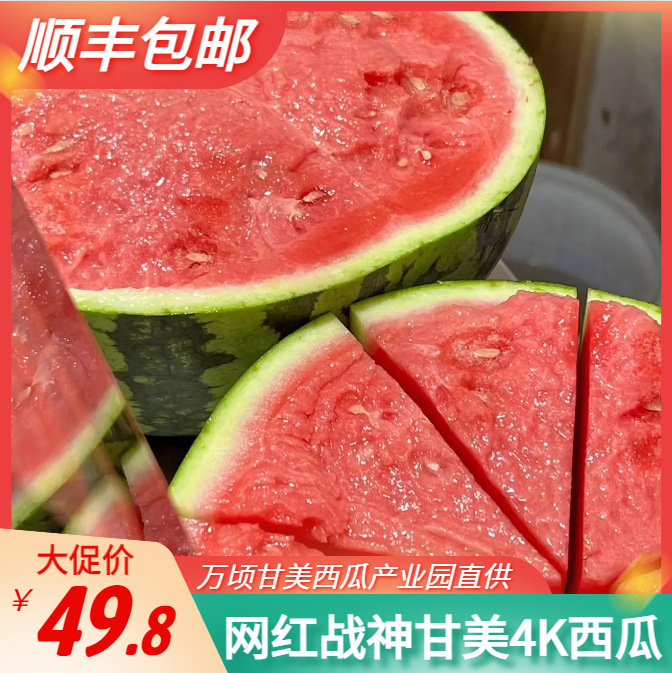 现货头茬甘美4k战神无籽西瓜麒麟瓜甜西瓜新鲜应季水果网红西瓜王
