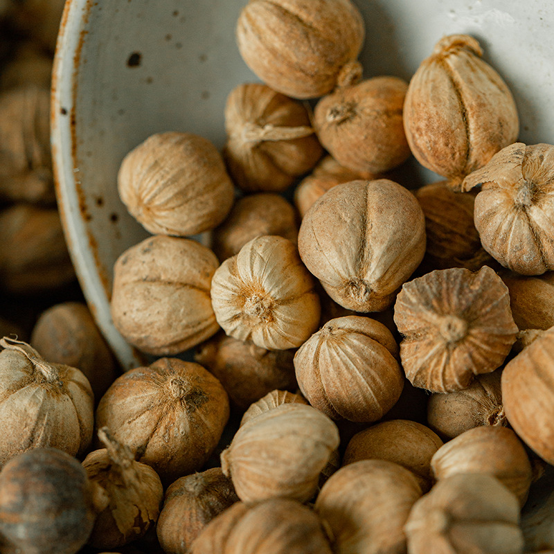 【散货白蔻】豆蔻肉寇白蔻玉果白香果卤菜火锅500克香料火锅调料