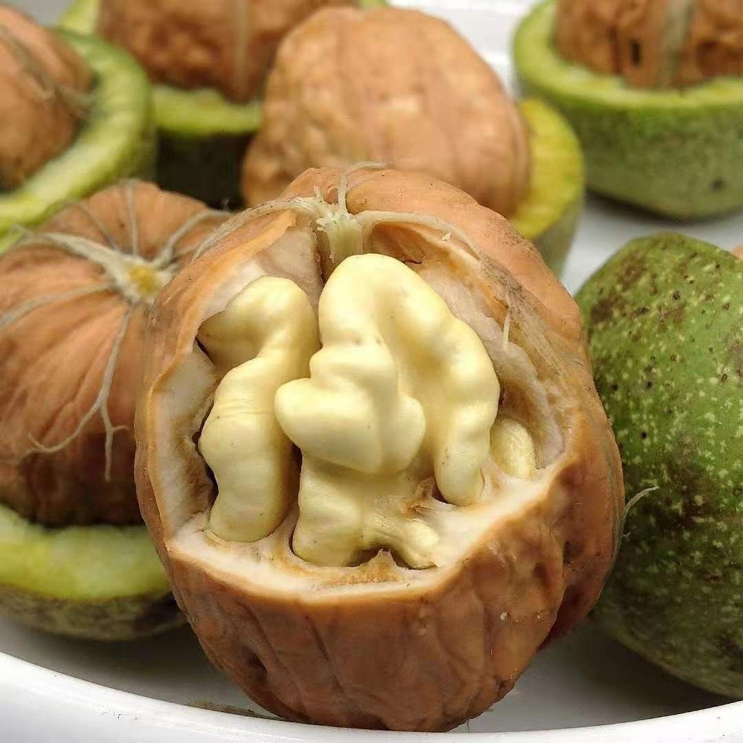 新鲜湿青皮核桃