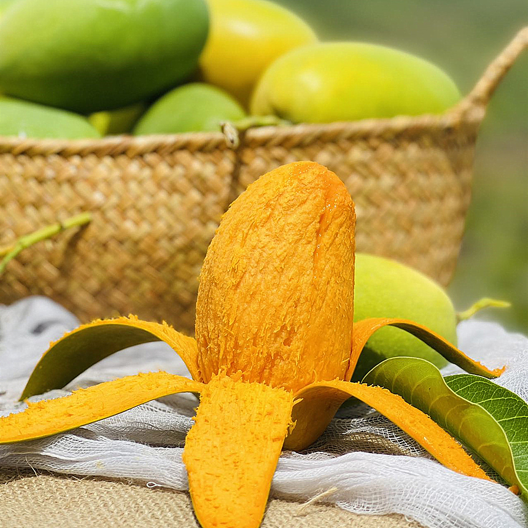 攀枝花椰香芒果5斤/8斤 新鲜水果奶香鸡蛋芒果